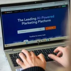 Marketing Official Marketing Official searching for trends
