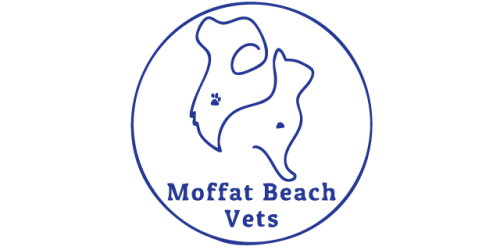 Moffat Beach Logo Blue@4x Moffat Beach Logo Blue@4x