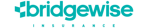 bridgewise-logo-primary (2)
